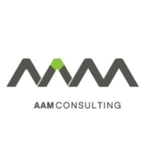 AAM Management Information Consulting (HU)